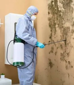mold removal services in charlotte, NC